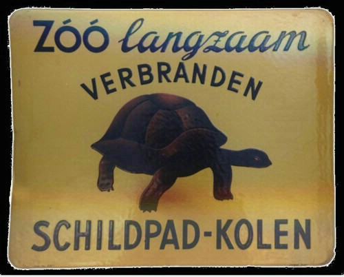 Schildpad.jpg