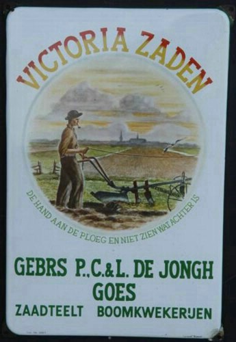 victoria zaden.JPG