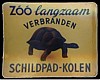 Schildpad.jpg