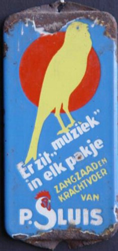 P Sluis dp.JPG