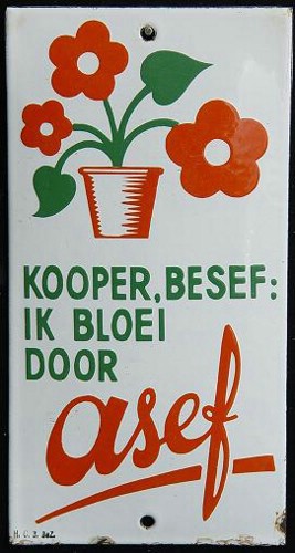 asef dp.JPG