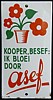asef dp.JPG