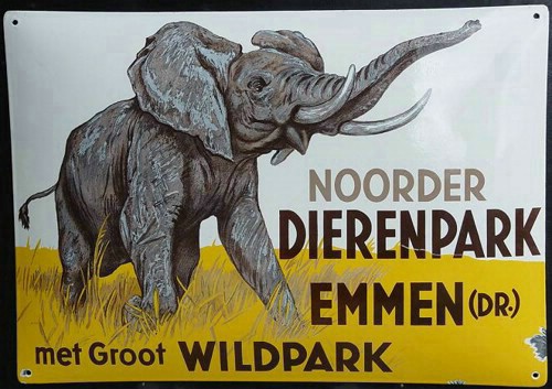 noorder dierenpark emmen.JPG