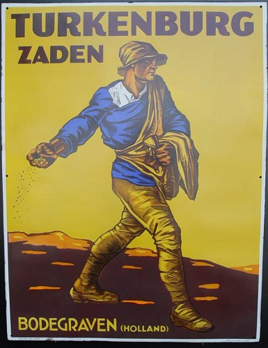 turkenburg zaden.JPG