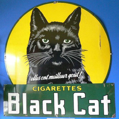 Black Cat.jpg