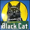 Black Cat.jpg