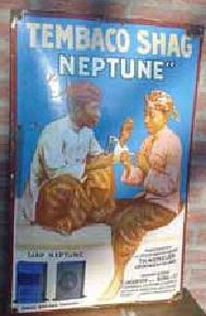 neptune.jpg